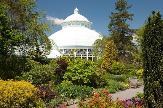 New York Botanisk Have